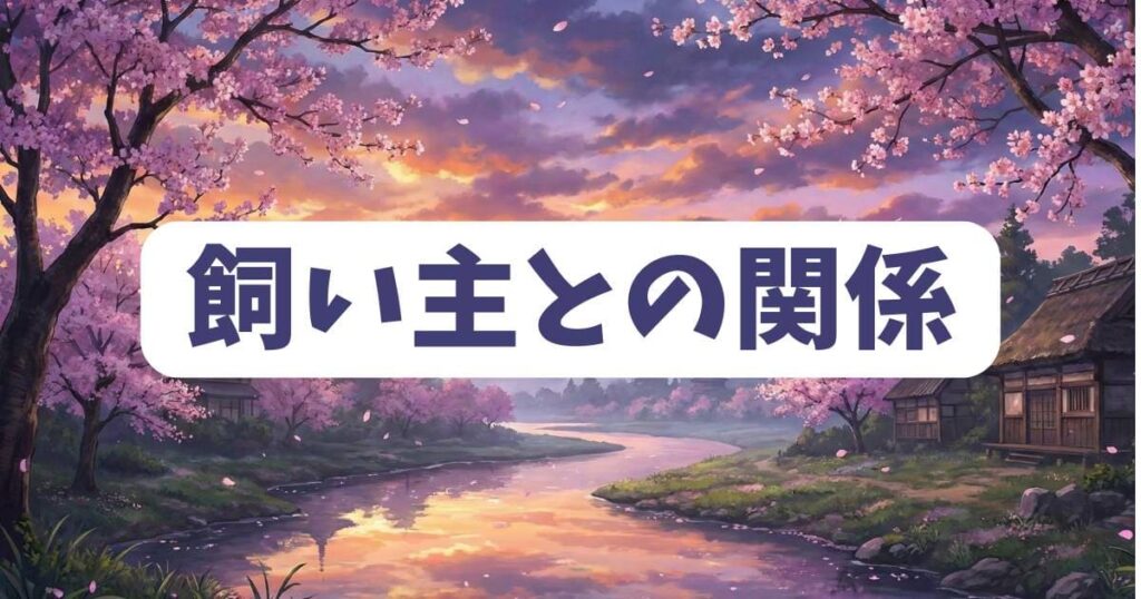 『雨と君と』のたぬきと飼い主の関係性を過去回からネタバレ調査