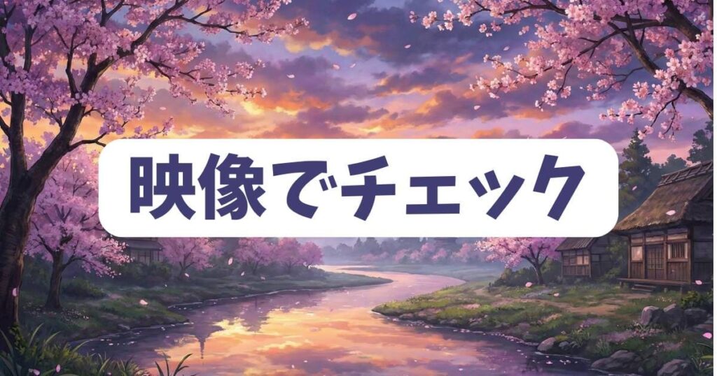 真犯人の謎を映像でチェック!夏目アラタの結婚を楽しむ方法